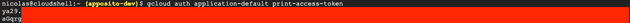 Access token en la Terminal