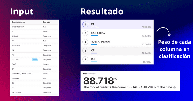 Usamos 15 columnas como input. El resultado, 88.7 precisión, donde PT, categoría y sub-categoría fueron los más importantes