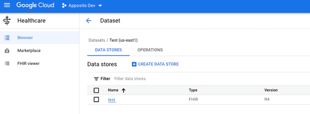 Dataset con la instancia nueva creada